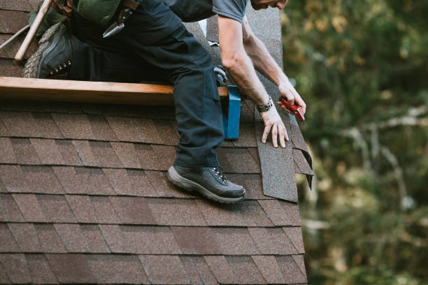 Roof Gutter Cleaning in Crab Orchard, WV